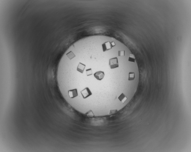 X0000111500373200908041207