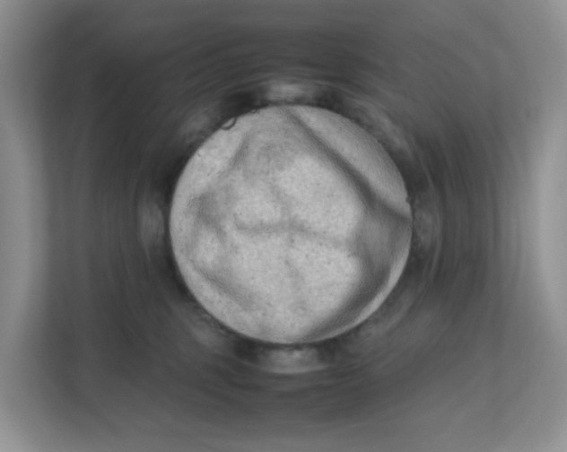 X0000111500375200908041207