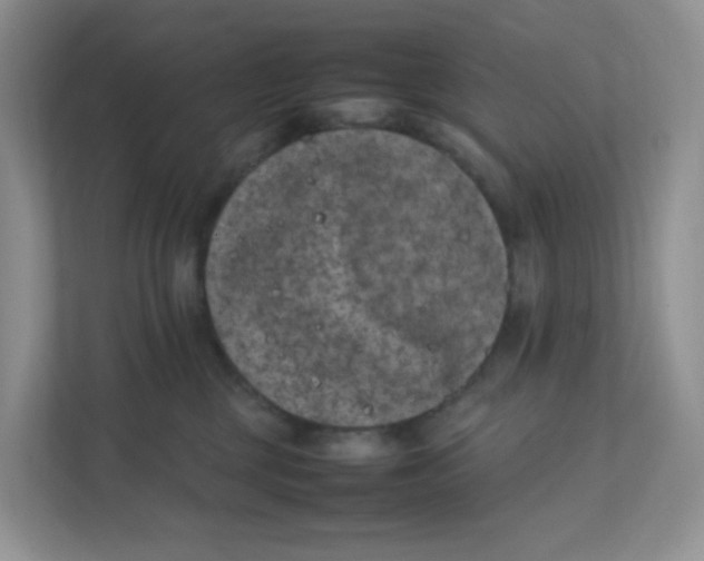 X0000111500377200908041207