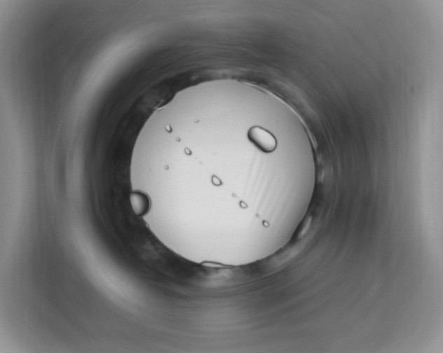 X0000111500382200908041207