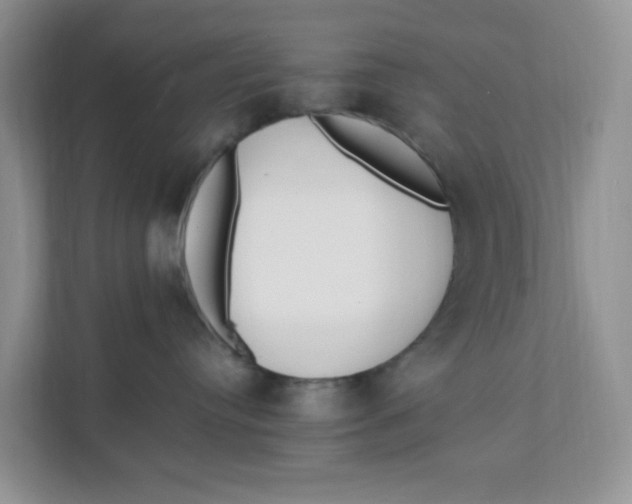 X0000111500384200908041207