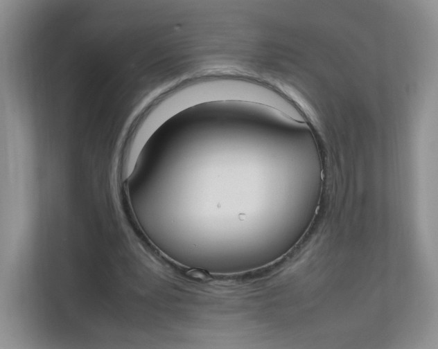 X0000111500391200908041207