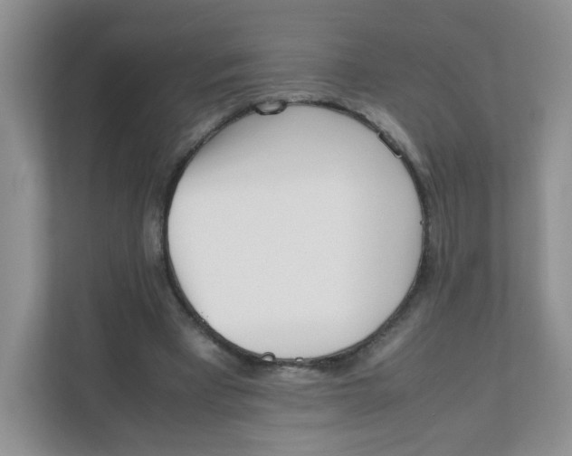 X0000111500393200908041207