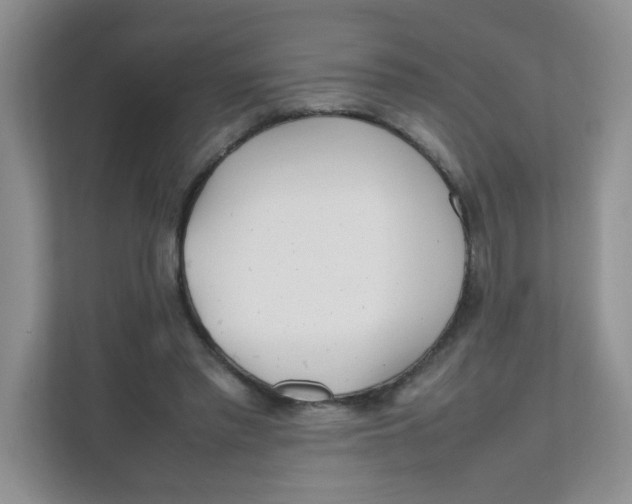 X0000111500397200908041206