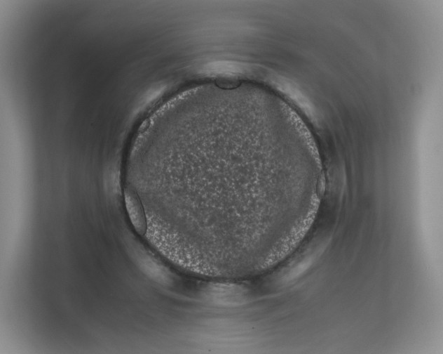 X0000111500399200908041206