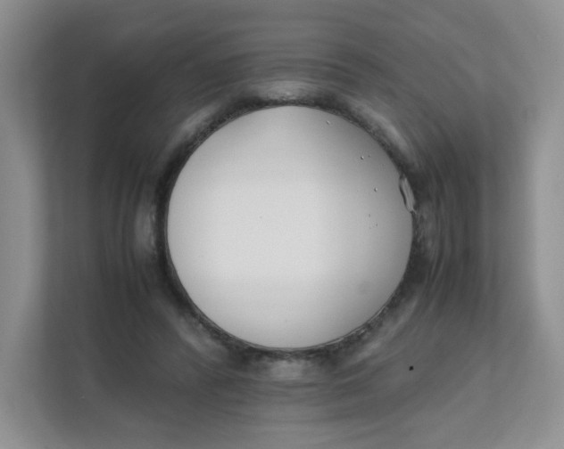 X0000111500400200908041206