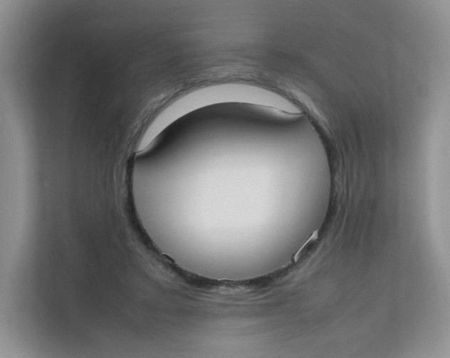 X0000111500403200908041206