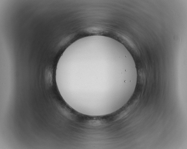 X0000111500404200908041206