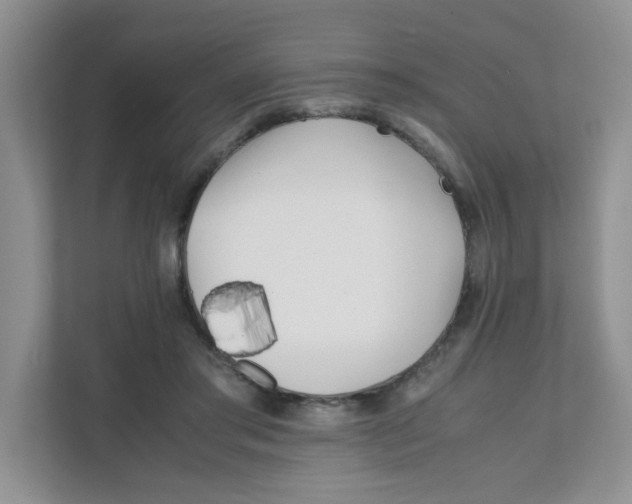 X0000111500405200908041206