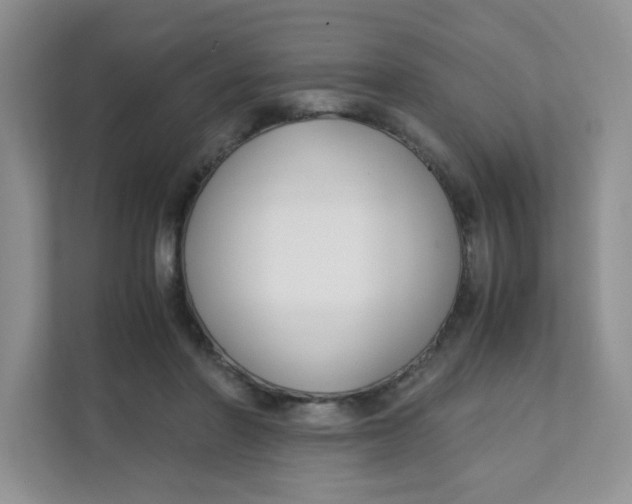 X0000111500406200908041206