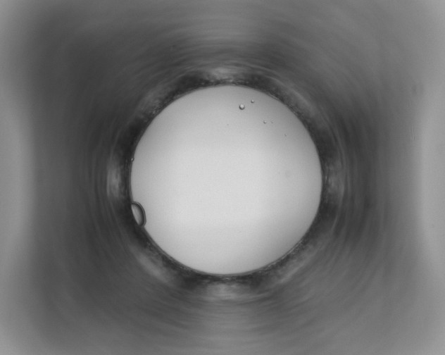 X0000111500408200908041206