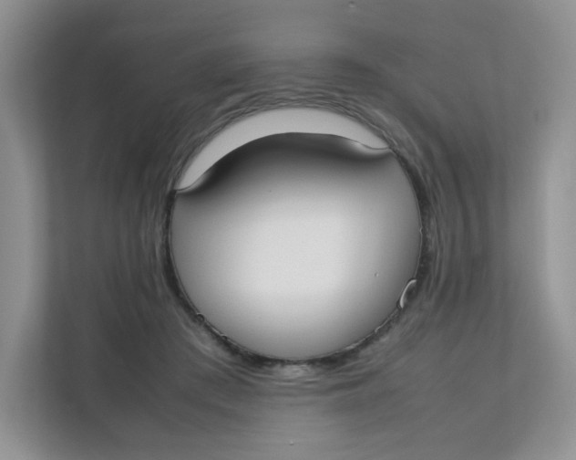 X0000111500409200908041206