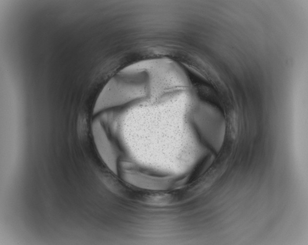 X0000111500410200908041206