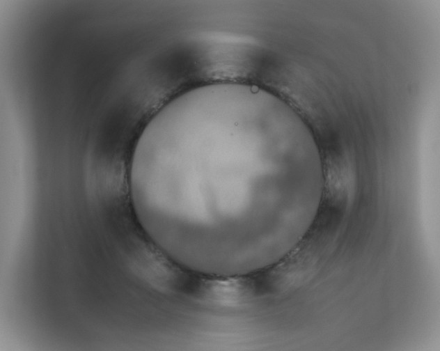 X0000111500411200908041206