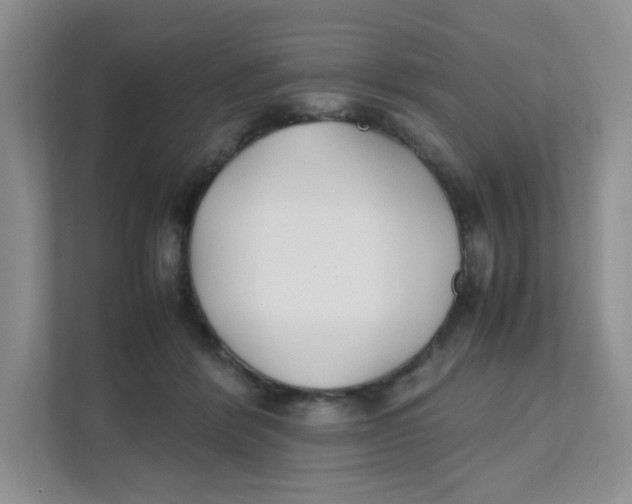 X0000111500412200908041206