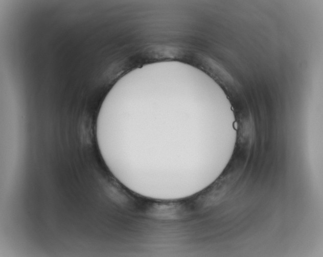 X0000111500414200908041206