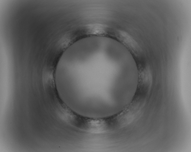 X0000111500415200908041206