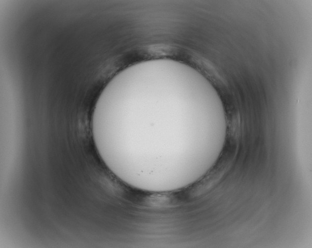 X0000111500418200908041206