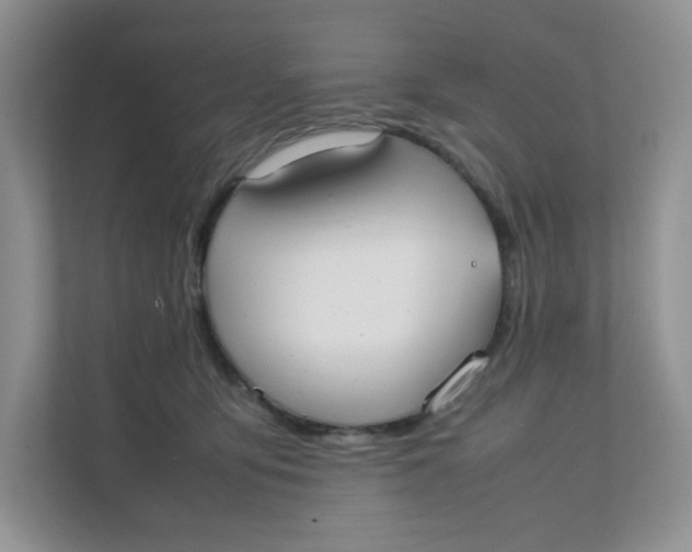 X0000111500419200908041206