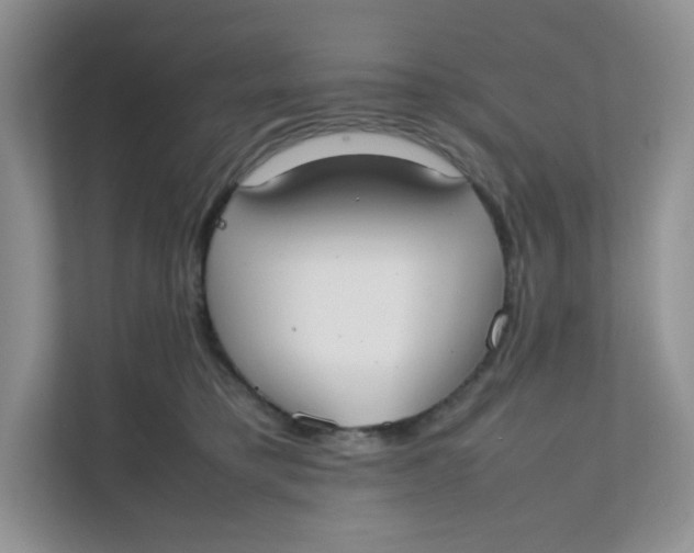 X0000111500421200908041206