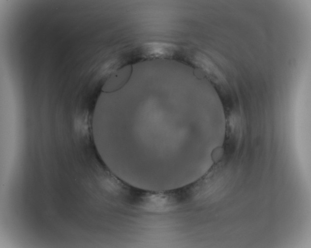 X0000111500423200908041206