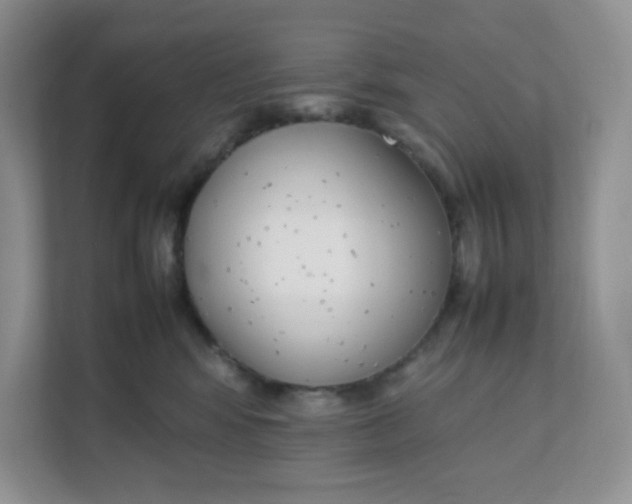 X0000111500424200908041206