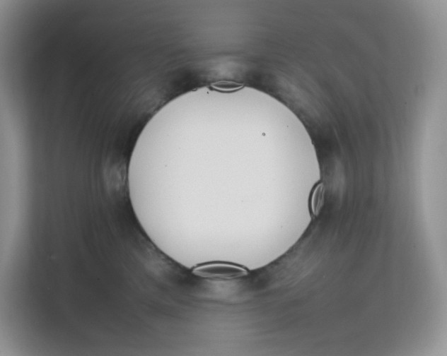 X0000111500425200908041206