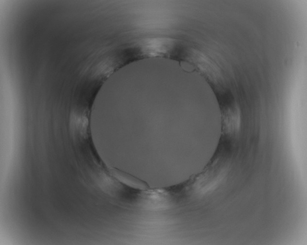 X0000111500427200908041206