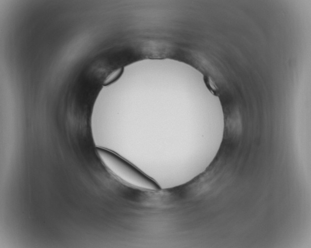 X0000111500429200908041206