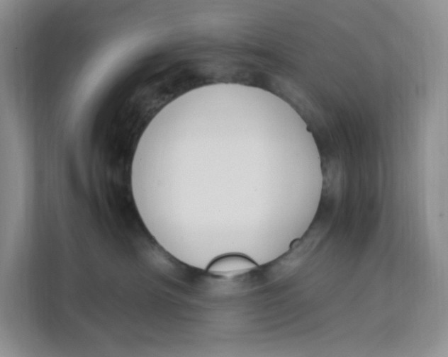 X0000111500430200908041206