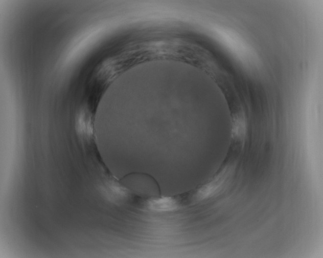 X0000111500431200908041206