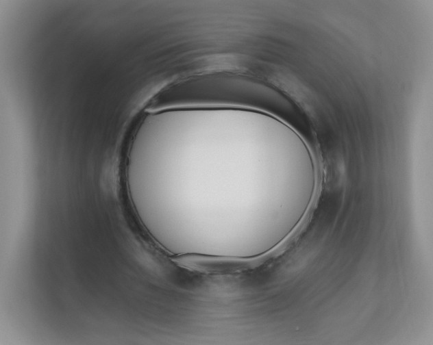 X0000111500436200908041205