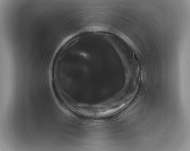 X0000111500438200908041205