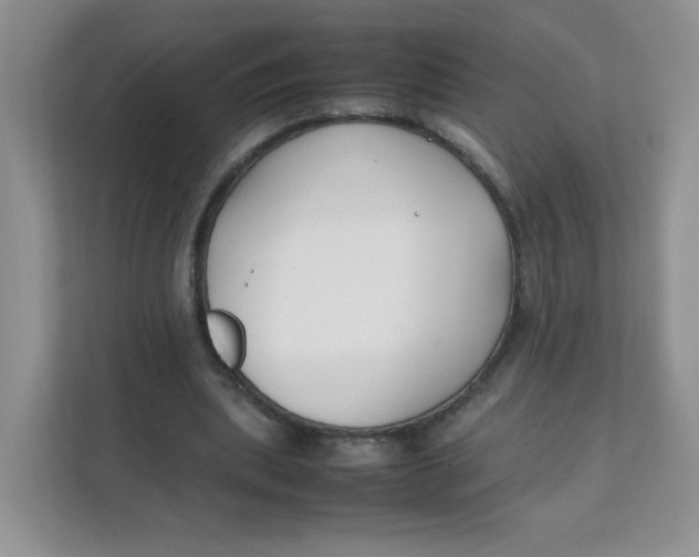 X0000111500439200908041205