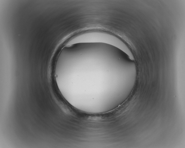 X0000111500440200908041205