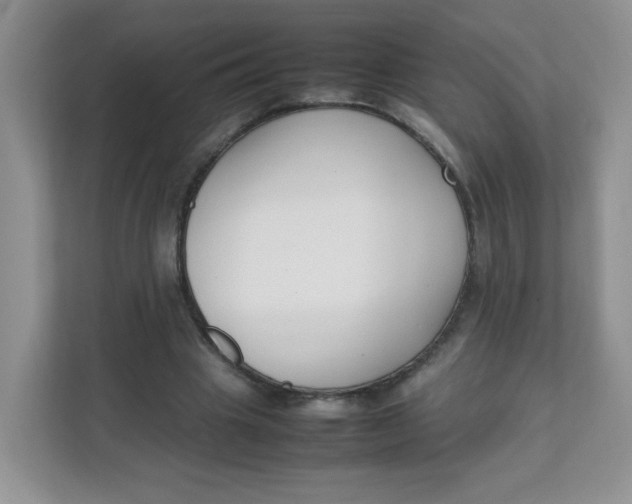 X0000111500441200908041205