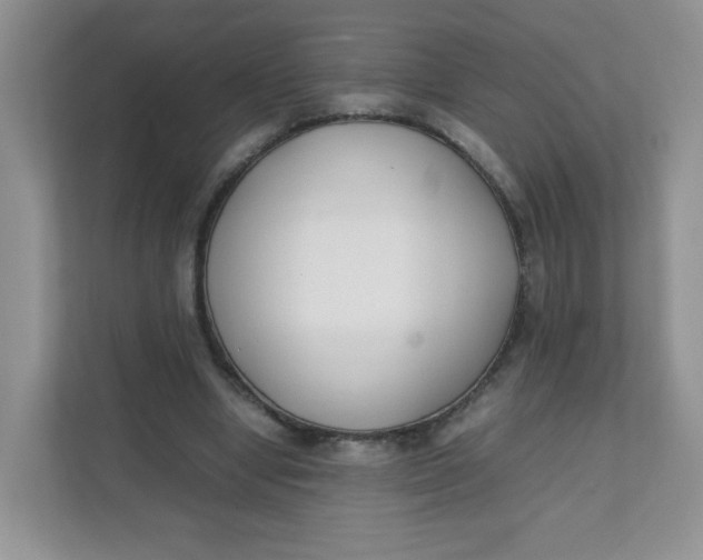 X0000111500442200908041206