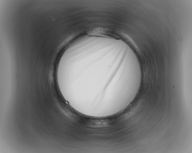 X0000111500443200908041206