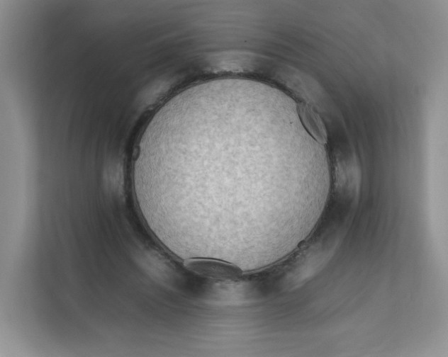 X0000111500444200908041206