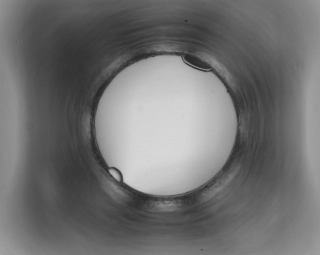 X0000111500445200908041206