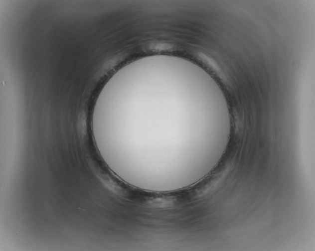 X0000111500447200908041206