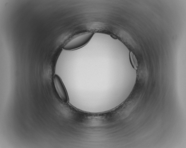 X0000111500448200908041206