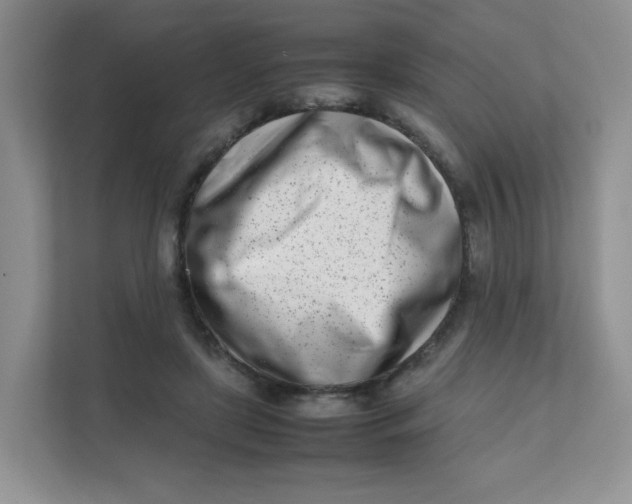 X0000111500451200908041206