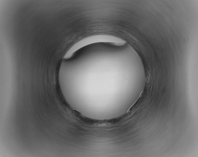 X0000111500452200908041206