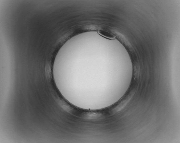 X0000111500453200908041206