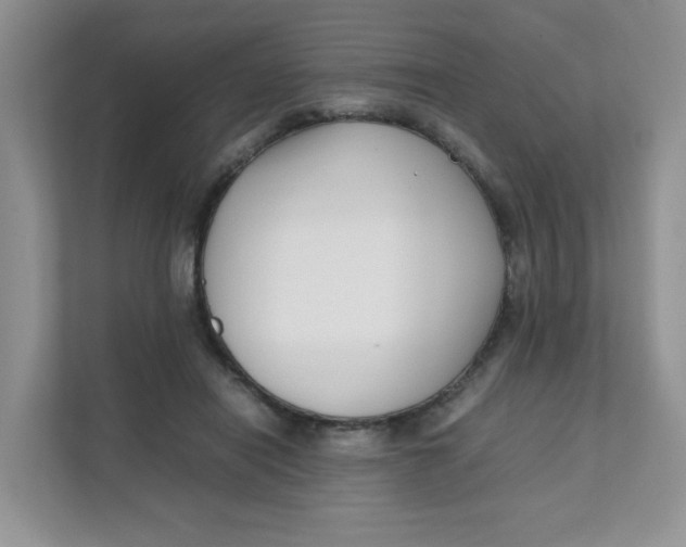 X0000111500454200908041206