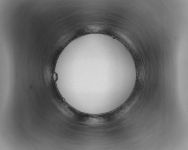 X0000111500455200908041206