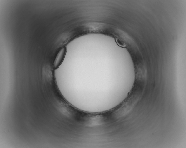 X0000111500456200908041206