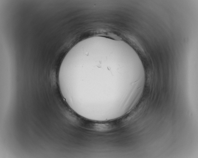 X0000111500457200908041206