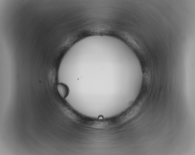 X0000111500458200908041206